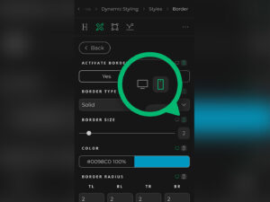Border settings with new responsive styling indication.